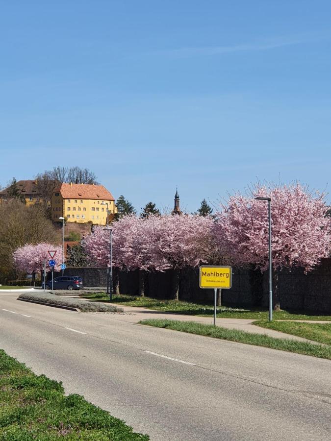 Ferienwohnung Zum Schlossblick Naehe Europa Park Mahlberg Exteriör bild