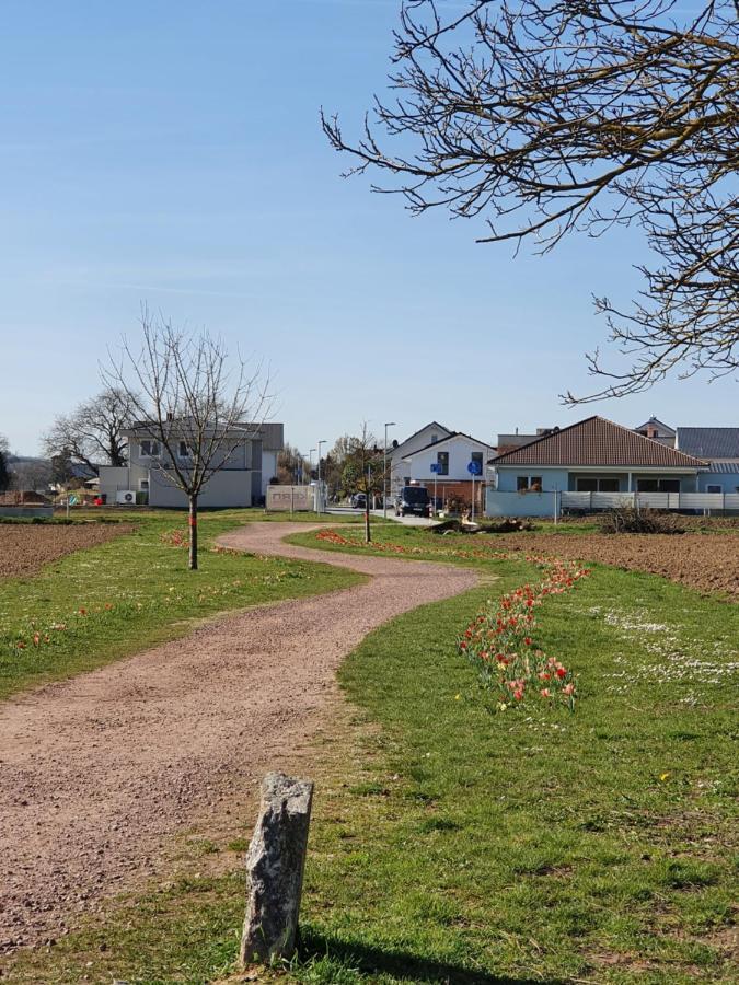 Ferienwohnung Zum Schlossblick Naehe Europa Park Mahlberg Exteriör bild