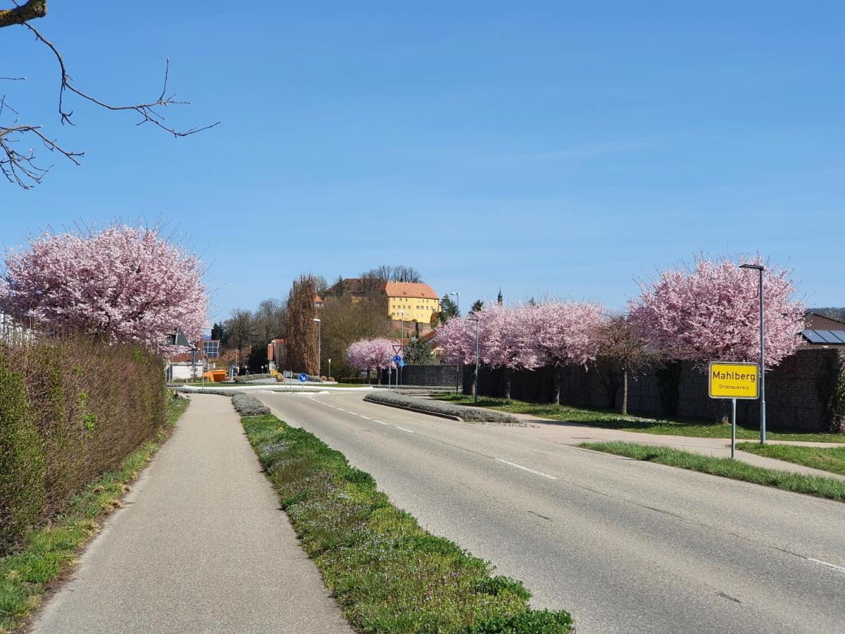 Ferienwohnung Zum Schlossblick Naehe Europa Park Mahlberg Exteriör bild